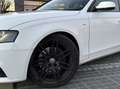 Audi A4 AUDI A4 V6 2.7 TDI 190 DPF S line plus 3X SLINE - thumbnail 6