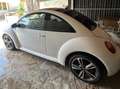 Volkswagen Beetle Blanc - thumbnail 5