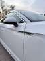Audi A5 Audi A5 Sportback S line 35 TDI 150 CV S tronic | Nacional | Revisiones Audi | Impecable Blanco - thumbnail 18