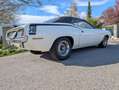 Plymouth Barracuda HT Coupe Weiß - thumbnail 6
