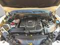 Alfa Romeo Stelvio 2.2 t 160 CV Business aut. 2021 Weiß - thumbnail 20