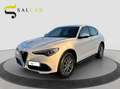 Alfa Romeo Stelvio 2.2 t 160 CV Business aut. 2021 Weiß - thumbnail 1