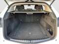 Alfa Romeo Stelvio 2.2 t 160 CV Business aut. 2021 Weiß - thumbnail 19