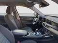 Alfa Romeo Stelvio 2.2 t 160 CV Business aut. 2021 Weiß - thumbnail 16