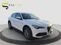 Alfa Romeo Stelvio 2.2 t 160 CV Business aut. 2021 Weiß - thumbnail 3