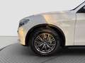 Alfa Romeo Stelvio 2.2 t 160 CV Business aut. 2021 Weiß - thumbnail 8