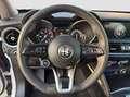 Alfa Romeo Stelvio 2.2 t 160 CV Business aut. 2021 Weiß - thumbnail 18