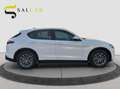 Alfa Romeo Stelvio 2.2 t 160 CV Business aut. 2021 Weiß - thumbnail 13