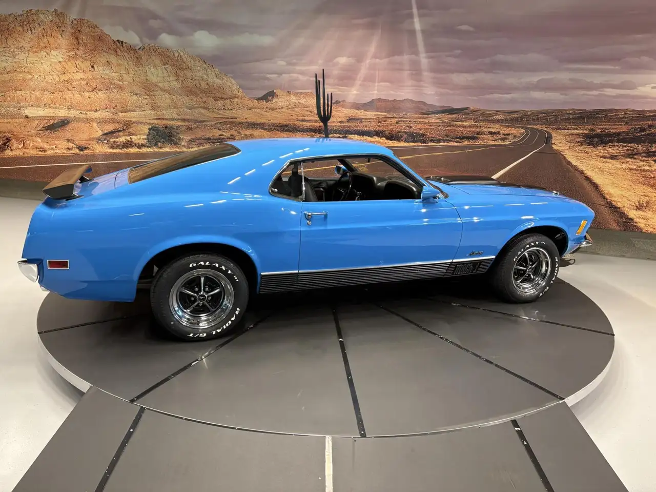 Ford Mustang Mach 1, foto 5