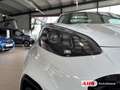 Kia Sportage Black Edition 4WD 1.6 T-GDI DCT AHK LED Navi 4x SH Blanc - thumbnail 14