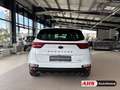 Kia Sportage Black Edition 4WD 1.6 T-GDI DCT AHK LED Navi 4x SH Blanc - thumbnail 5