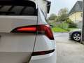 Skoda Kamiq 1.6 TDI DSG7 Ambition Blanc - thumbnail 6