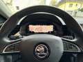 Skoda Kamiq 1.6 TDI DSG7 Ambition Blanc - thumbnail 13