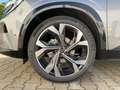 Renault Austral Mild Hybrid 160 Techno Esprit Alpine ACC Grau - thumbnail 13