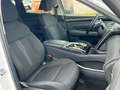 Hyundai TUCSON 1.6 T-GDI PHEV *Navi*ACC*LED*RFKamera* Weiß - thumbnail 22