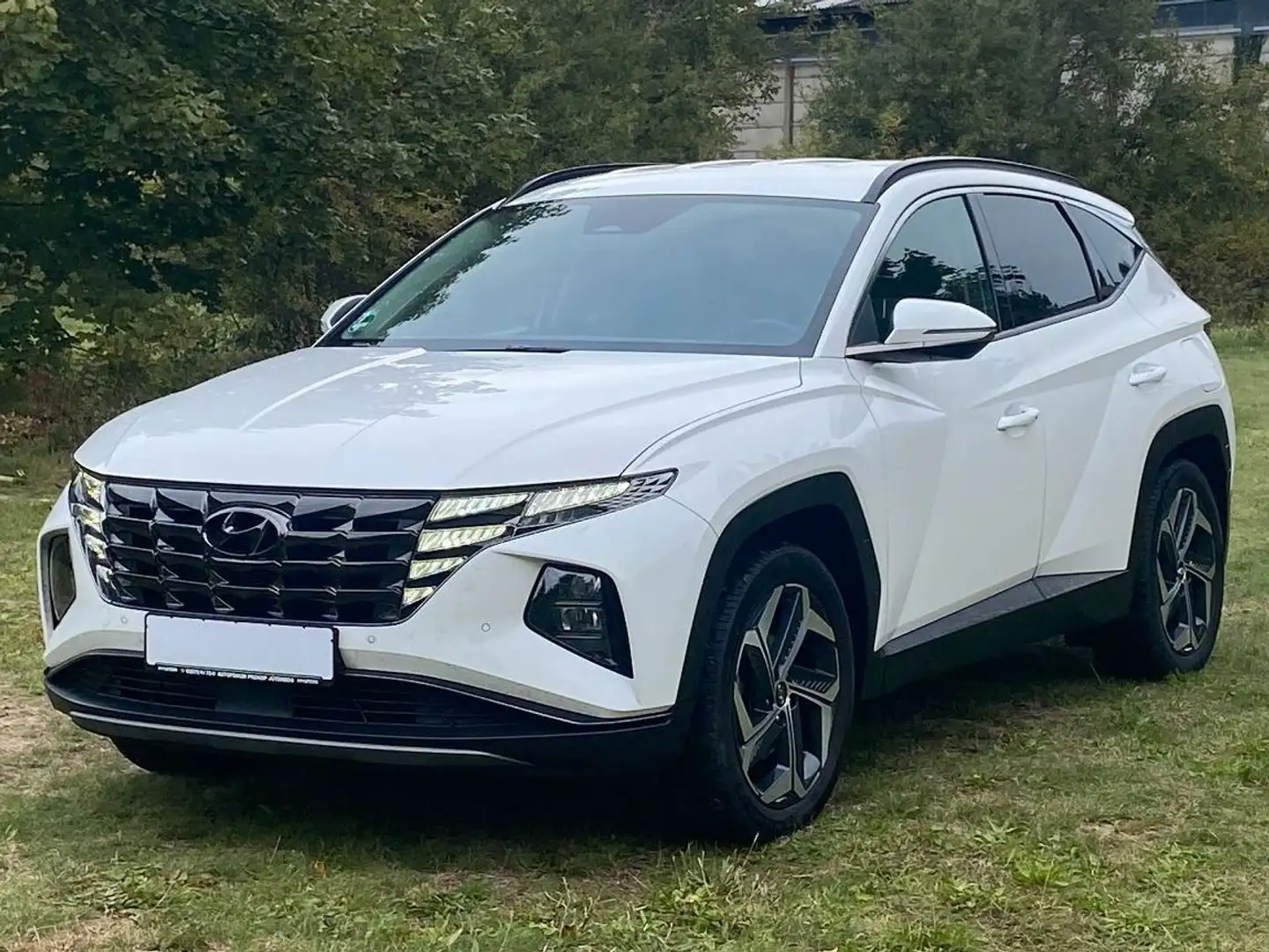 Hyundai TUCSON 1.6 T-GDI PHEV *Navi*ACC*LED*RFKamera* Weiß - 1