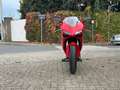 Ducati 848 EVO | "Dépôt Vente" Rot - thumbnail 11