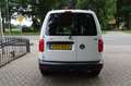 Volkswagen Caddy 2.0 TDI L1H1BMT 4 MOTION NAVI DAB 1e EIG NWST Wit - thumbnail 4