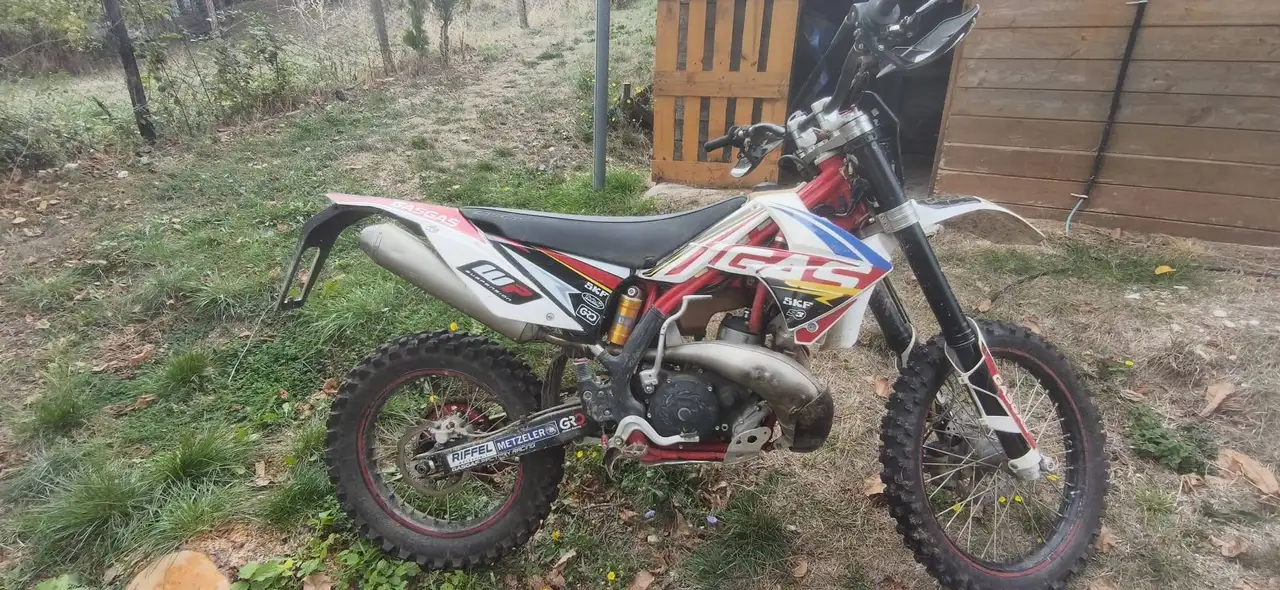 Gas Gas EC 300