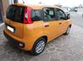 Fiat Panda Panda 1.2 easypower Gpl anche Neo Patentati Arancione - thumbnail 4