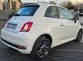 Fiat 500 1.0 Hybrid CONNECT UNICO PROP PROMO FIN.TO Bianco - thumbnail 5