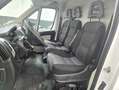 Fiat Ducato 2.3 MJET 130 CV L1H1 Blanco - thumbnail 9