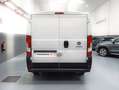 Fiat Ducato 2.3 MJET 130 CV L1H1 Blanco - thumbnail 8