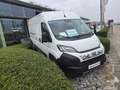 Fiat Ducato Blanc - thumbnail 3