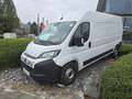 Fiat Ducato Blanc - thumbnail 1