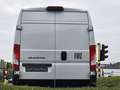 Fiat Ducato Blanc - thumbnail 4