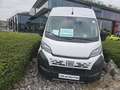 Fiat Ducato Blanc - thumbnail 2