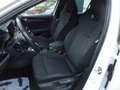 Skoda Octavia Sportline 4x4 HeadUp Dig.Tacho KeyleesGo Parkpilot Weiß - thumbnail 11