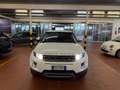 Land Rover Range Rover Evoque 5p 2.2 td4 Pure Tech Pack 150cv auto 9m Blanco - thumbnail 1