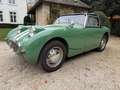 Austin-Healey Sprite Grün - thumbnail 13
