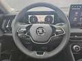 Skoda Kodiaq 1.5 TSI mHEV 110kW Selection Blau - thumbnail 10