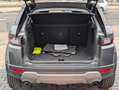 Land Rover Range Rover Evoque 2.0 Td4 SE 4x4 PANO LED XENON Gris - thumbnail 6