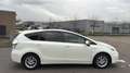 Toyota Prius+ Prius Wagon 2013 * 1.8 Aspiration * AUTOMAAT * 7-P Fehér - thumbnail 7