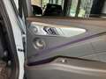 BMW XM Label~BOWERS&WILKIN~HUD~KAMERA 360°~23" Grigio - thumbnail 29