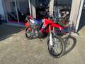 Honda CRF 300 Rally Rojo - thumbnail 2