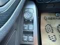 Ford Focus ST-Line Business 1,5EcoBlue Weiß - thumbnail 19