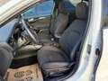 Ford Focus ST-Line Business 1,5EcoBlue Weiß - thumbnail 7