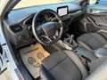 Ford Focus ST-Line Business 1,5EcoBlue Weiß - thumbnail 6