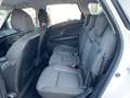 Renault Scenic Scénic dCi 8V 110 CV EDC Energy Intens Bianco - thumbnail 11