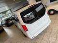 Mercedes-Benz V 300 d Lang AMG + NIGHT NAVI/LED/PSD/DISTR/TW/LEDER/360 Bianco - thumbnail 5