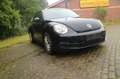 Volkswagen Beetle Lim. Basis 1,2 KLIMA/2.HAND Negru - thumbnail 6