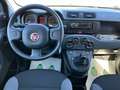 Fiat Panda Panda 1.0 firefly hybrid s Grigio - thumbnail 10