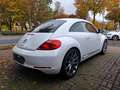 Volkswagen Beetle Limousine *Sport BMT* 20"Felgen * TOP ! Weiß - thumbnail 5