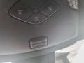 Toyota C-HR C-HR Hybrid Business-Edition Gris - thumbnail 15