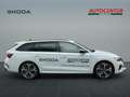 Skoda Octavia Combi RS, Navi, 13" Infotainment-Display, KESSY Blanco - thumbnail 4
