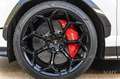 Lamborghini Urus Performante / full Carbon / full ADAS/23"/3D B&O Blanc - thumbnail 18